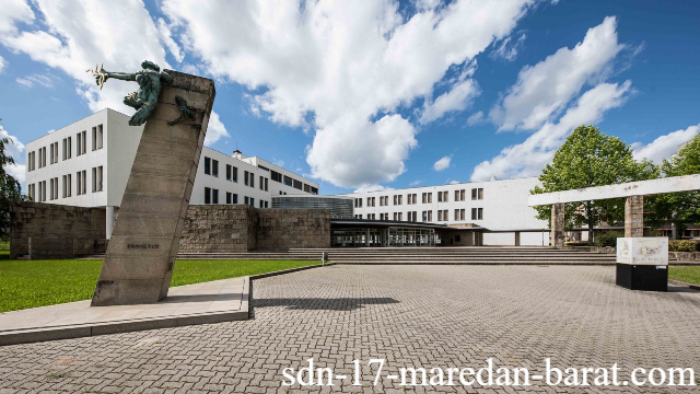 6 Fakultas dan Bidang Studi Spesialis University of Minho 